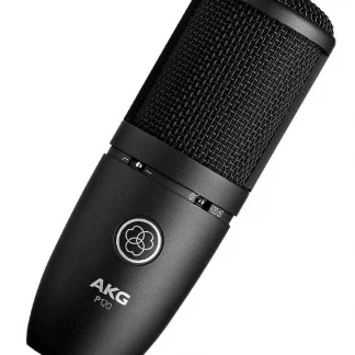 AKG P120